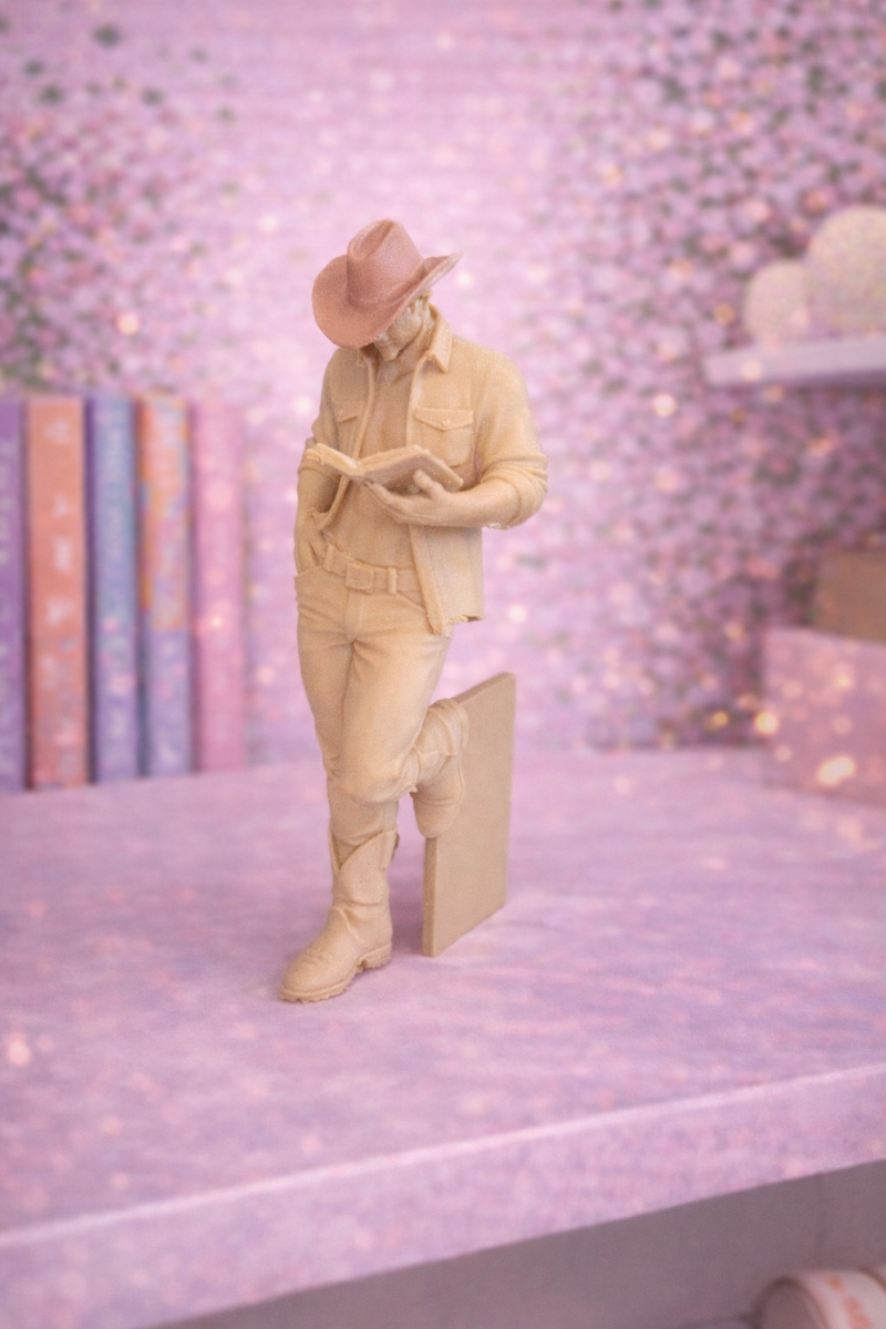 Cowboy Reader