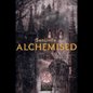✨ Overlay Pages Set – Alchemised✨